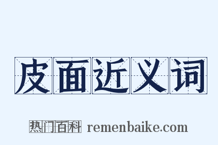 皮面近义词是什么意思的图片